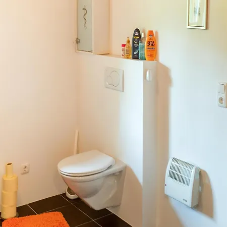 Holiday home Schwarzenberg Near Lift & Stream, Cleaning Included Schwarzenberg am Bohmerwald