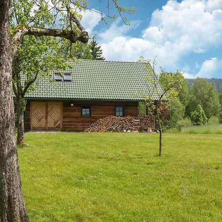Holiday home For 5 Person With Terrace, Cleaning Included Schwarzenberg am Bohmerwald