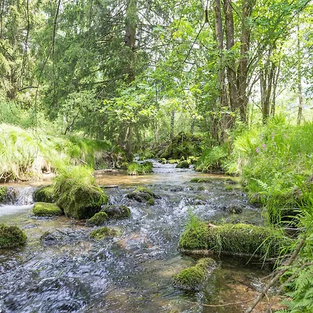 For 5 Person With Terrace, Cleaning Included Schwarzenberg am Bohmerwald